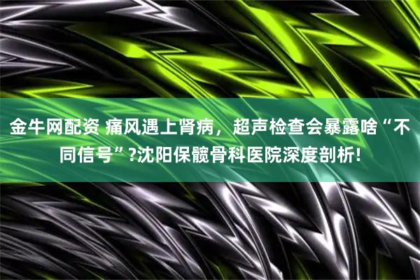 金牛网配资 痛风遇上肾病，超声检查会暴露啥“不同信号”?沈阳保髋骨科医院深度剖析!
