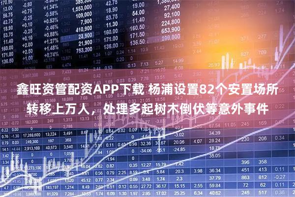 鑫旺资管配资APP下载 杨浦设置82个安置场所转移上万人，处理多起树木倒伏等意外事件