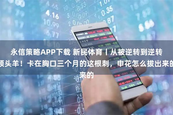 永信策略APP下载 新民体育丨从被逆转到逆转领头羊！卡在胸口三个月的这根刺，申花怎么拔出来的